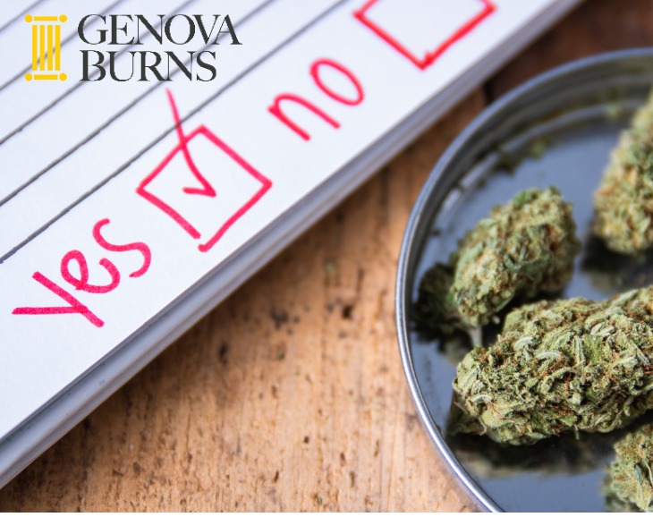  Jennifer Roselle and Daniel Pierre Comment on What Legal Use Cannabis Can Mean for New Jersey Employers in HR Daily Advisor
